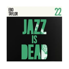 Vinyl EBO TAYLOR