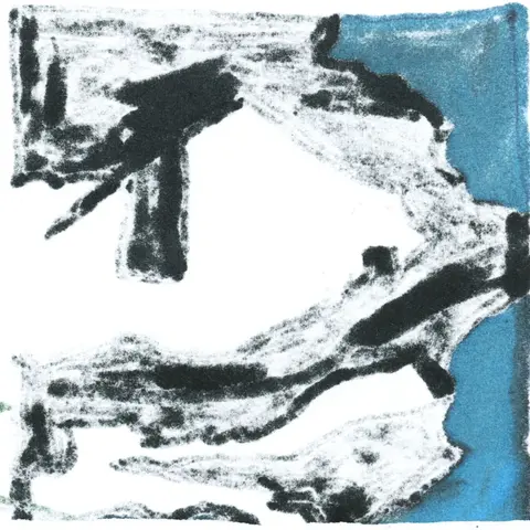 Accessory - Dust