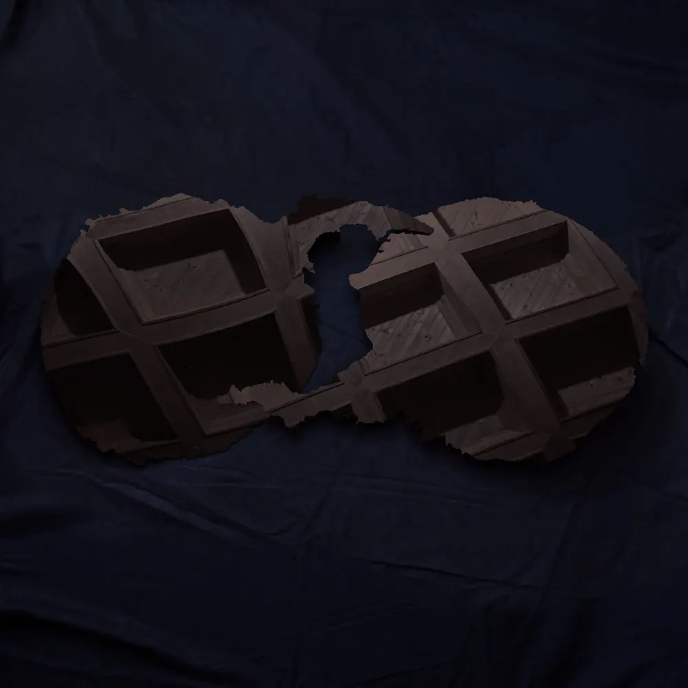 DIRTY PROJECTORS (Vinyl)