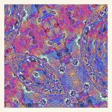 Vinyl PLACENTA