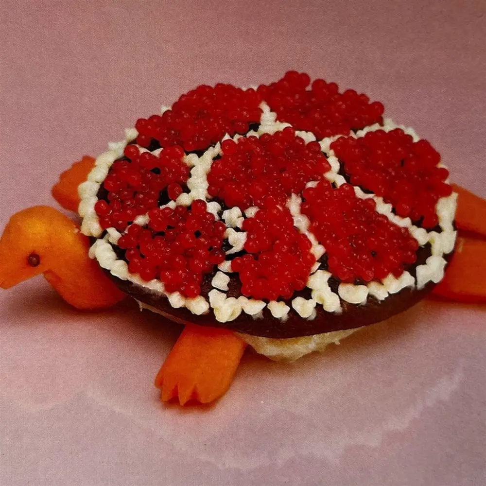 TURTLE ROCK