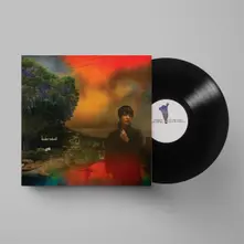 Vinyl WE'VE BEEN GOING ABOUT THIS ALL WRONG