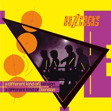 Buzzcocks, CD A DIFFERENT KIND OF TENSION