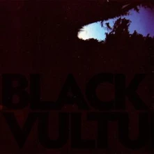 Daniel Norgren, Vinyl BLACK VULTURES
