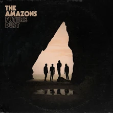 The Amazons, Vinyl FUTURE DUST