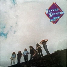 Lynyrd Skynyrd, CD NUTHIN` FANCY