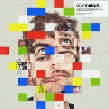 CD NUMBSKULL