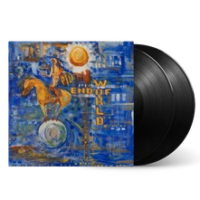 Vinyl END OF WORLD
