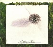 The Gathering, Vinyl NIGHTTIME BIRDS