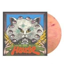 Godiego & Mickie Yoshino, Vinyl HOUSE (HAUSU)