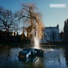 Rudimental, Vinyl Rudim3Ntal