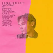 SOFT STRUGGLES thumbnail