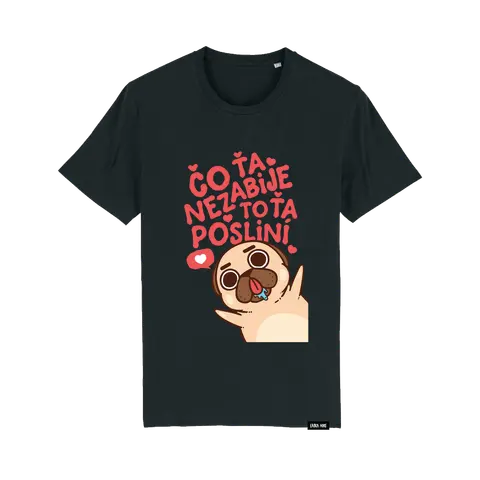 Čo ťa nezabije, to ťa posliní