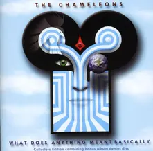 The Chameleons – CHAMELEONS - WHAT DOES ANYTHING MEAN (CD)
