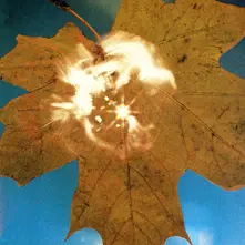 FORCE OF THE WIND thumbnail