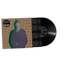 Fink, Vinyl BEAUTY IN YOUR WAKE ACOUSTIC