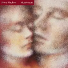 Vinyl Momentum (Vinyl Re-Issue 2024)