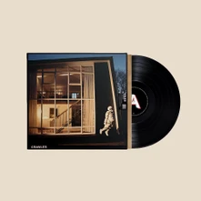 IDLES, Vinyl CRAWLER