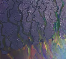 Alt-J – AN AWESOME WAVE (2022) (CD)