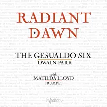 RADIANT DAWN thumbnail