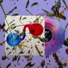 Dirty Projectors, Vinyl LAMP LIT PROSE