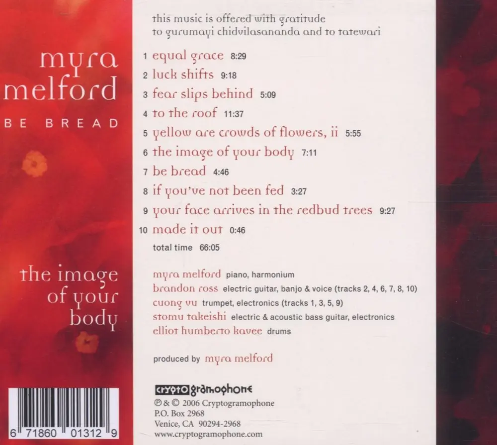 IMAGE OF YOUR BODY