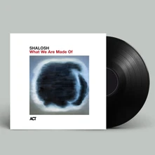 Vinyl WHAT WE ARE MADE OF