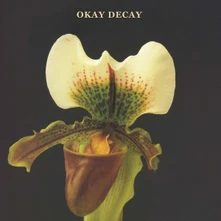 Canshaker Pi, CD OKAY DECAY