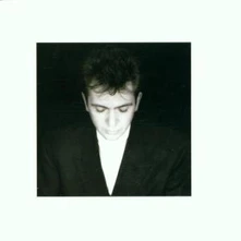 CD GABRIEL PETER - SHAKING THE TREE/R.