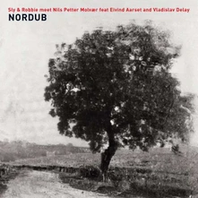 Sly & Robbie, CD Nordub
