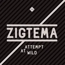 ATTEMPT AT WILD thumbnail