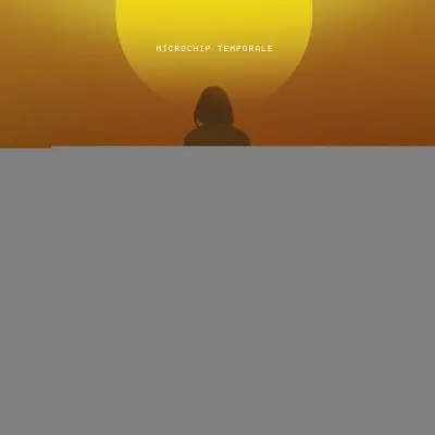 Vinyl Subsonica - Microchip Temporale