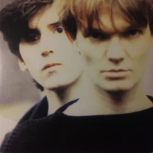 The House of Love, Vinyl HOUSE OF LOVE