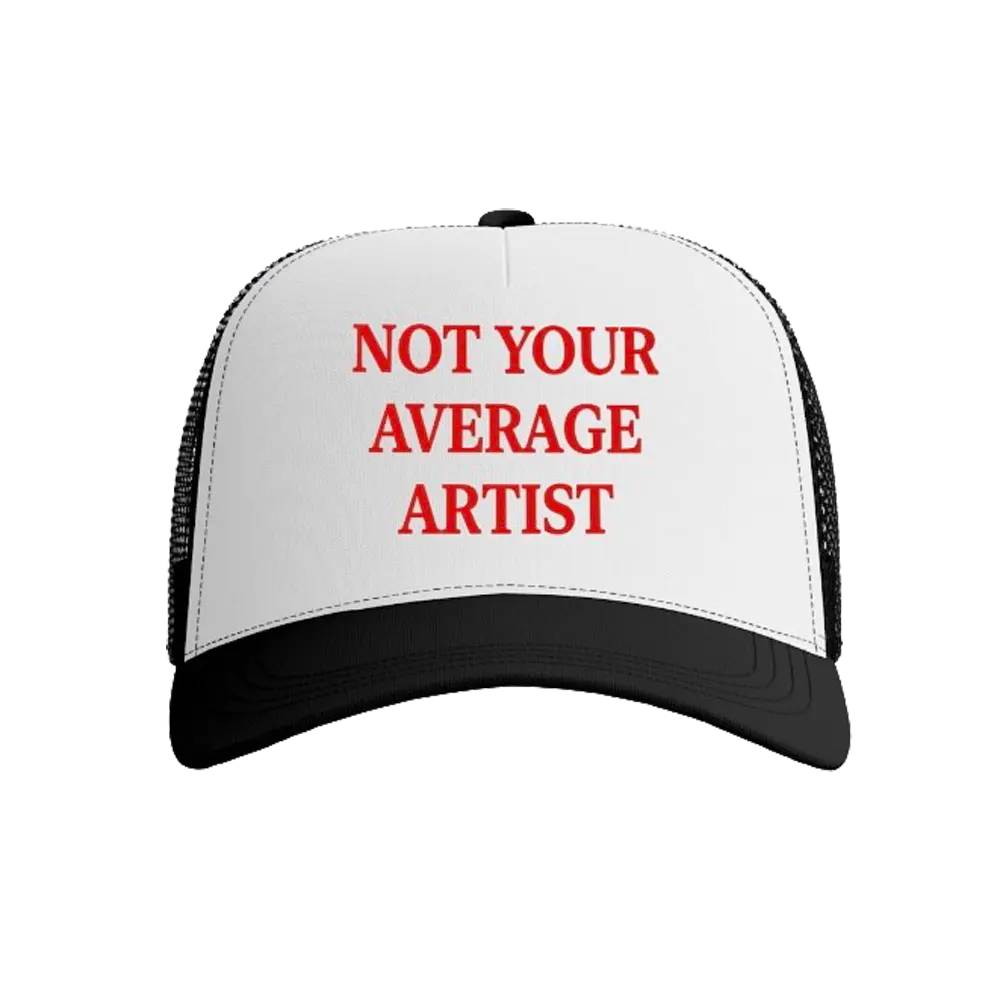 Not Your Average Artist
