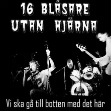 Vinyl VI SKA GA TILL BOTTEN MED DET HAR