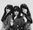 The Ronettes