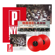 Portishead, Vinyl Roseland NYC Live