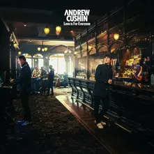 Andrew Cushin, Vinyl LOVE IS FOR EVERYONE