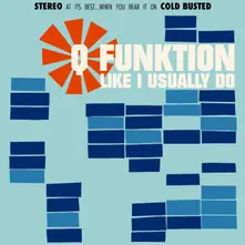 Q Funktion, Vinyl LIKE I USUALLY DO