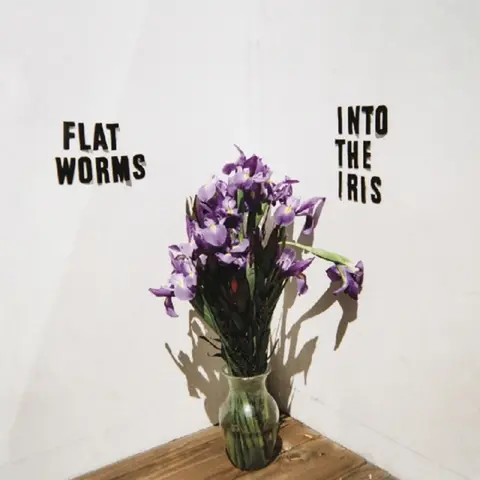 Flat Worms – Vinyl INTO THE IRIS