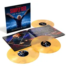 Simply Red, Vinyl HOLDING BACK THE YEARS...