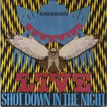 SHOT DOWN IN THE NIGHT thumbnail
