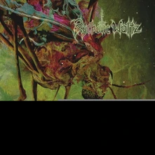 CD Mosquito (Re-issue 2024)