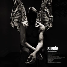 Suede, Vinyl ANTIDEPRESSANTS