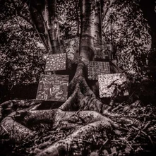 Kamasi Washington, CD HARMONY OF DIFFERENCE