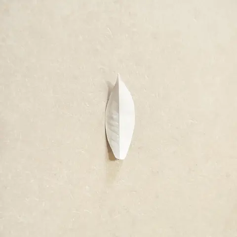 COMPLEXITY OF THE SIMPLE