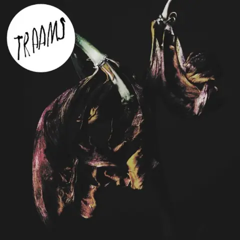 TRAAMS – Vinyl GRIN