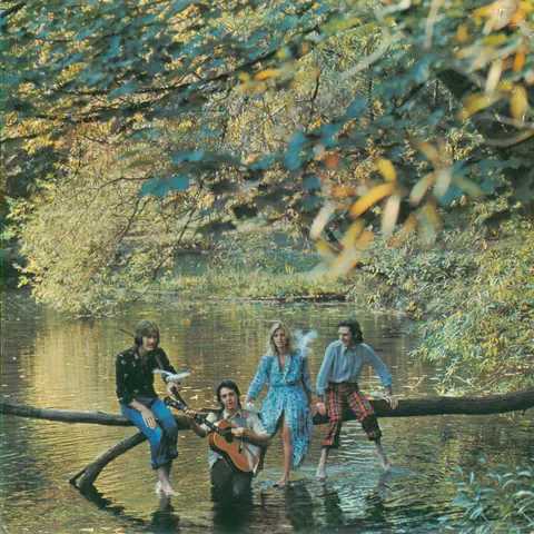 Wings – Vinyl WILD LIFE