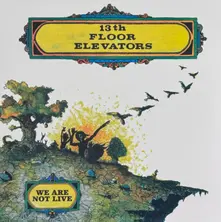 The 13th Floor Elevators, Vinyl WE ARE NOT LIVE