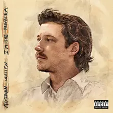 Morgan Wallen, Vinyl I'm The Problem
